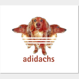 Adidachs Posters and Art